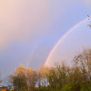 Meet your Posher, Sofia